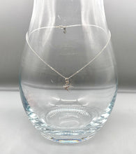 Load image into Gallery viewer, Swallow Silver Necklace
